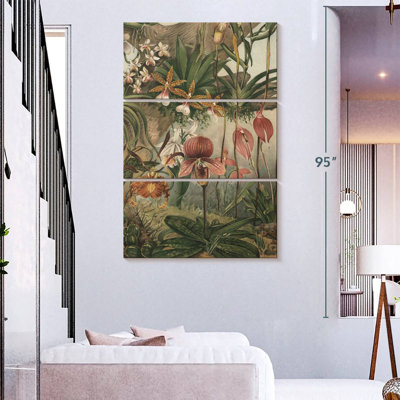 Orchidées Keiri