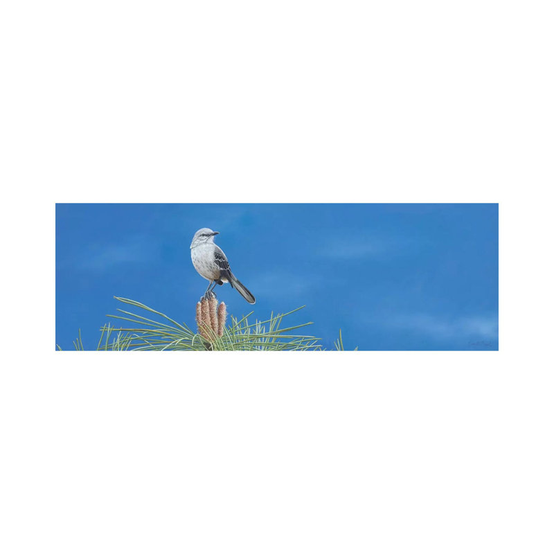 On Top Of The World II by Camille Engel - Wrapped Canvas Panoramic Gallery-Wrapped Canvas Giclée, 40.64cm H x 121.92cm W