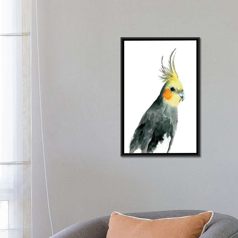 «Cockatiel II», reproduction sur toile, H 26 po x l 18 po x P 1,5 po, Toile avec cadre noir, Pas de tapis