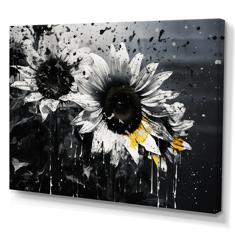 Monochrome Sunflower Bloom Black and White Canvas Art