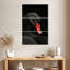 Tête de cygne noir Brampt-108515348