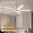 5-Blade Smart Flush Mount Ceiling Fan with Lights Remote, Voice WIFI Alexa App Control, Quiet DC Motor-1710489633-1710489632