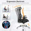 Inbox Zero Mokena Mesh Office Chair