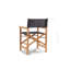 Folding Director Chair-113112993