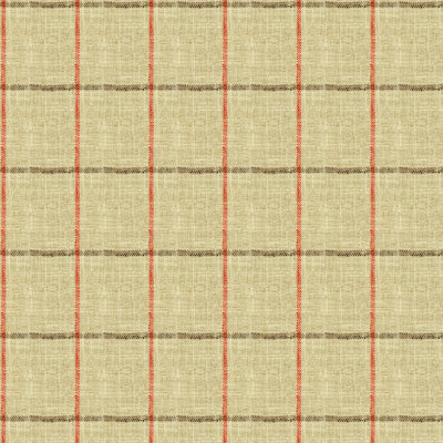 Basics Fabric