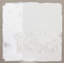 Alpine White 1' Print