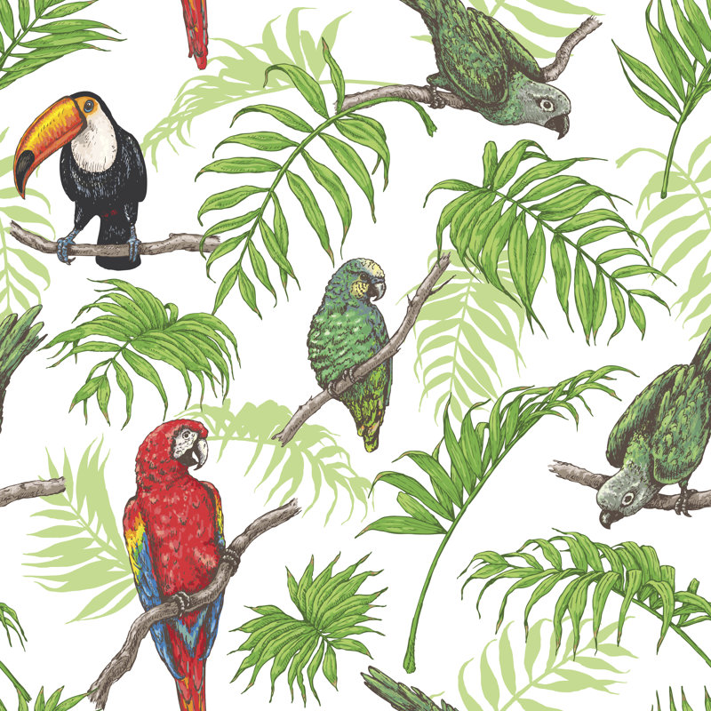 Adaure Parrots And Toucan by Val_Iva - Wrapped Canvas Print, 51cm H x 51cm W x 3.8cm D