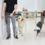 Barrière murale haute pour animaux Zig Zag -68771402-111684865