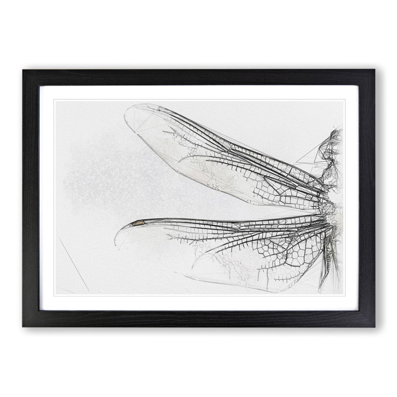 Dragonfly Vol.1 - Picture Frame Graphic Art, 65cm H x 90cm W x 2cm D, Black