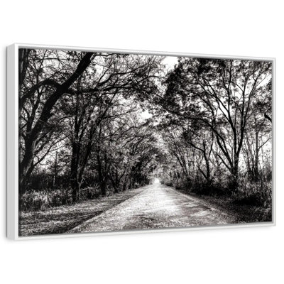 BW Forest Path