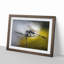 Dragonfly upon a Thistle in Abstract - Picture Frame Graphic Art Print-55734121-55734124