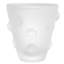 Vase Evander Frosted White Glass