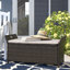 Banc de rangement Joslyn 2 en 1