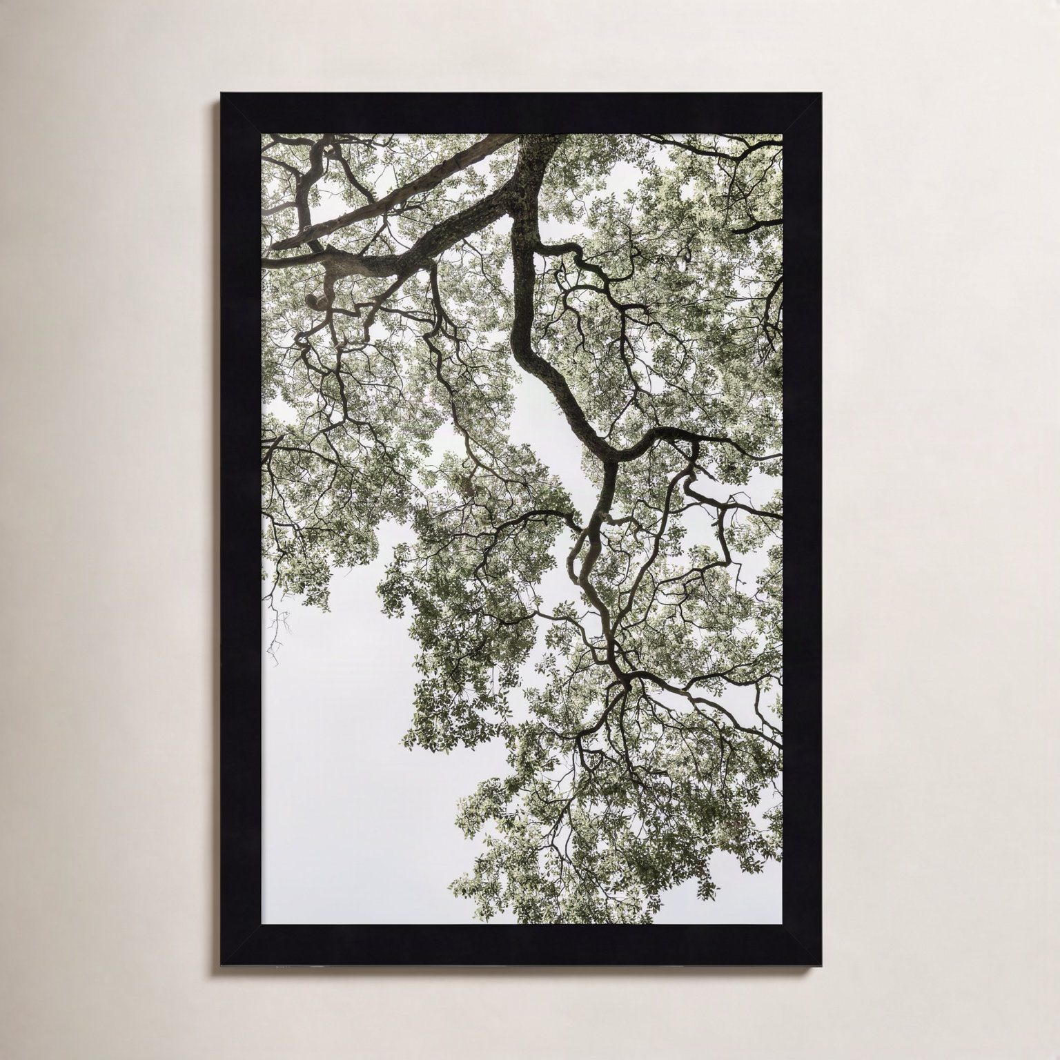 Pleasantville "Coastal Forest" Print, Black, 17" H x 12" W