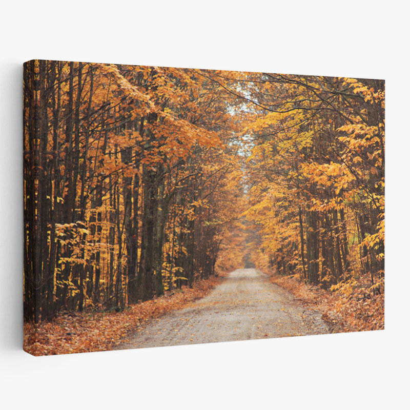 Route d'automne - route d'automne brune, H 16 po x l 24 po