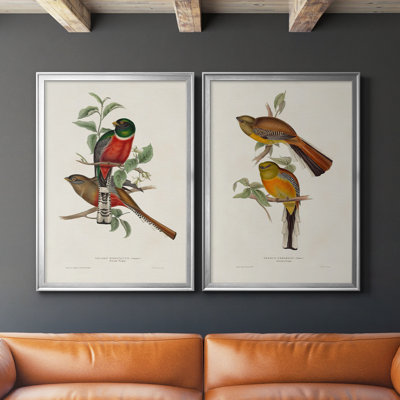 Toile encadrée de qualité supérieure Elegant Trogons I - prête à être accrochée