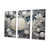 Toile tendue