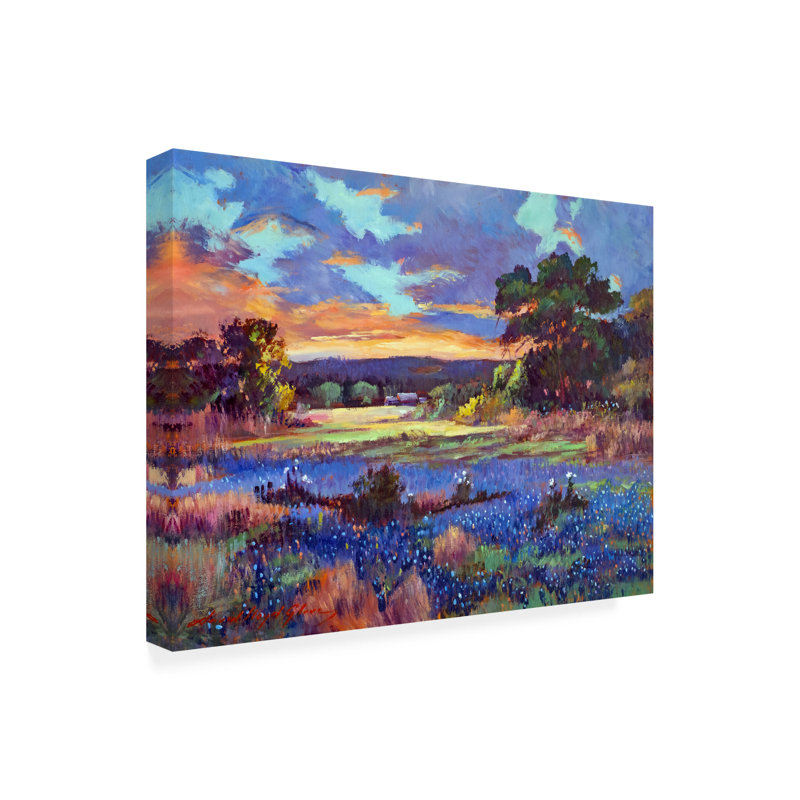 Œuvre d'art sur toile, bolivaire, David Lloyd Glover, TEXAS SKY, H 24 po x l 32 po