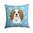 Outdoor Throw Pillow