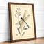 Dragonfly and Seedpod Japandi - Framed Print-1533005803-1533005814