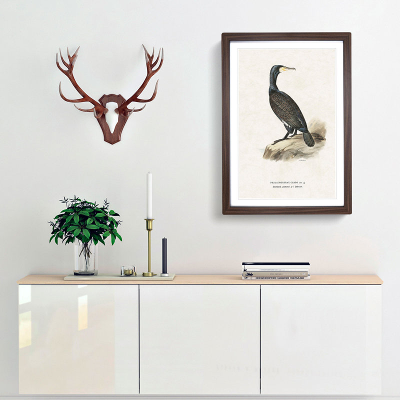 Great Cormorant by Von Wright - Framed Print, 48cm H x 36cm W x 2cm D, Walnut Framed