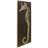 Seahorse B - Unframed Graphic Art on Wood