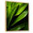 Cadre flottant naturel