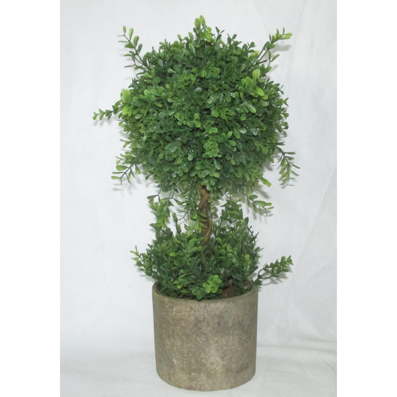 18 " H Faux Boxwood Topiary in Resin Pot