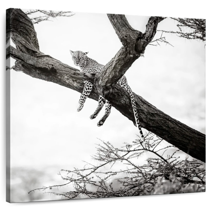 Brampt Tree Hanging Leopard