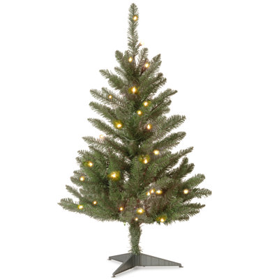Pre-Lit Fir Christmas Tree