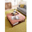 Square Pillow Cover & Insert-147049459