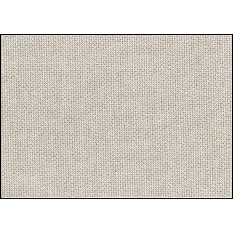 Ensemble de chaises d'appoint rembourrées en tissu de conception moderne 2 pièces, pieds de table en métal