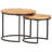 Ivaldo Frame 2 Nesting Tables Coffee Table-877844293