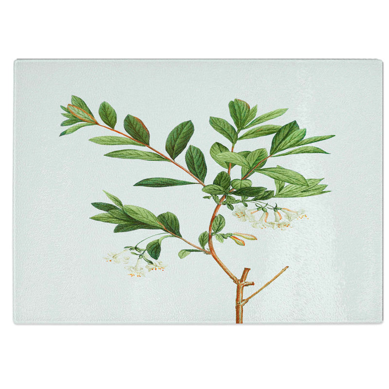 Tempered Glass White Honeysuckle Flowers by Pierre-Joseph Redoute Chopping Board, 39 cm W x 28.5 cm L