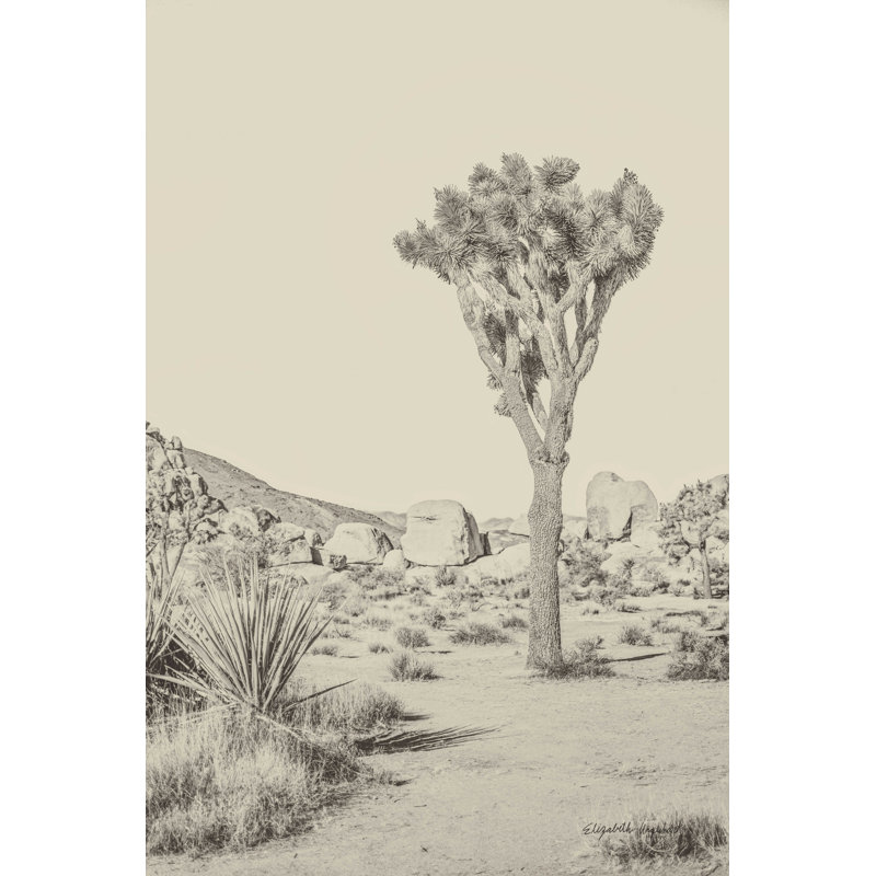 Joshua Tree III neutre, H 18 po x l 12 po