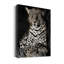 «African Leopard» par Danita Delimont - reproduction de photo sur toile tendue-456636359