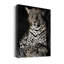 African Leopard - Wrapped Canvas Print-1672896525