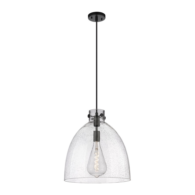 Luminaire suspendu à 1 lumière Badgett, Grainé, Noir mat, H 16 po x l 14 po x P 14 po