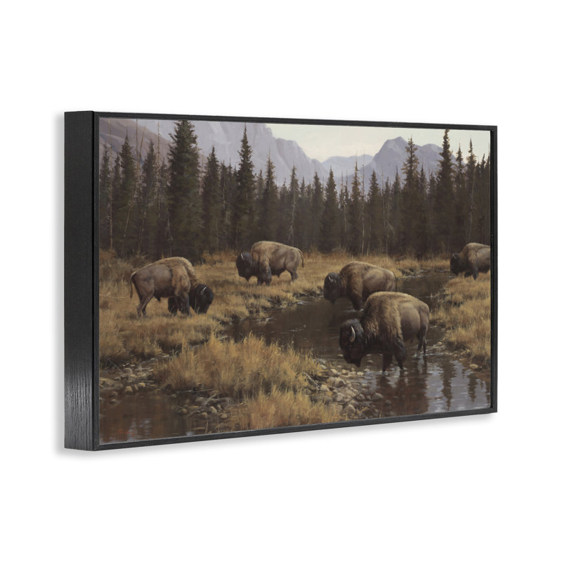 Bison sauvage broutant au ruisseau, estampe numérique, conception de Paco Young, H 12 po x l 18 po
