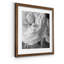 Renoncule foncé II - cadre photo-997338825-997338869-997390543
