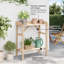 Plant Stand-1641226555