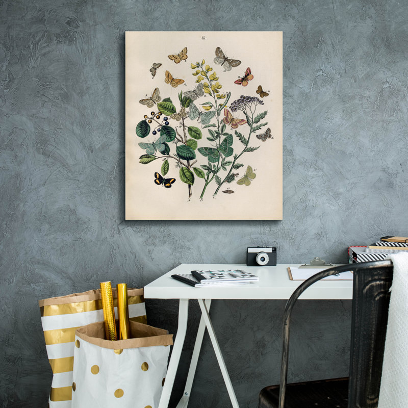 «Papillion - Butterflies» par Art Licensing Studio, art mural sur toile, H 24 po x l 20 po x P 0,75 po