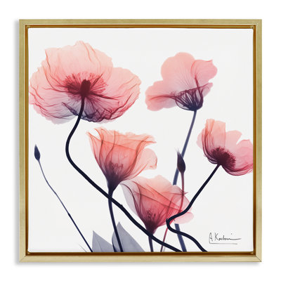 Cadre flottant rose chic avec fleurs simples, design par Albert Koetsier