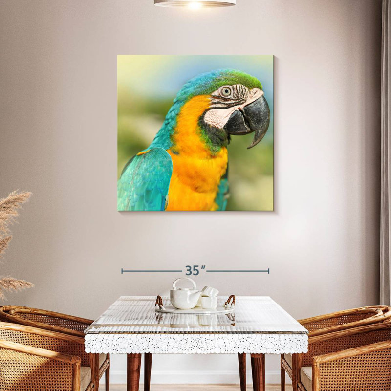 Brampt Parrot, 36" H x 36" W