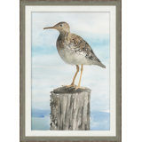 Sea Bird 2 Print