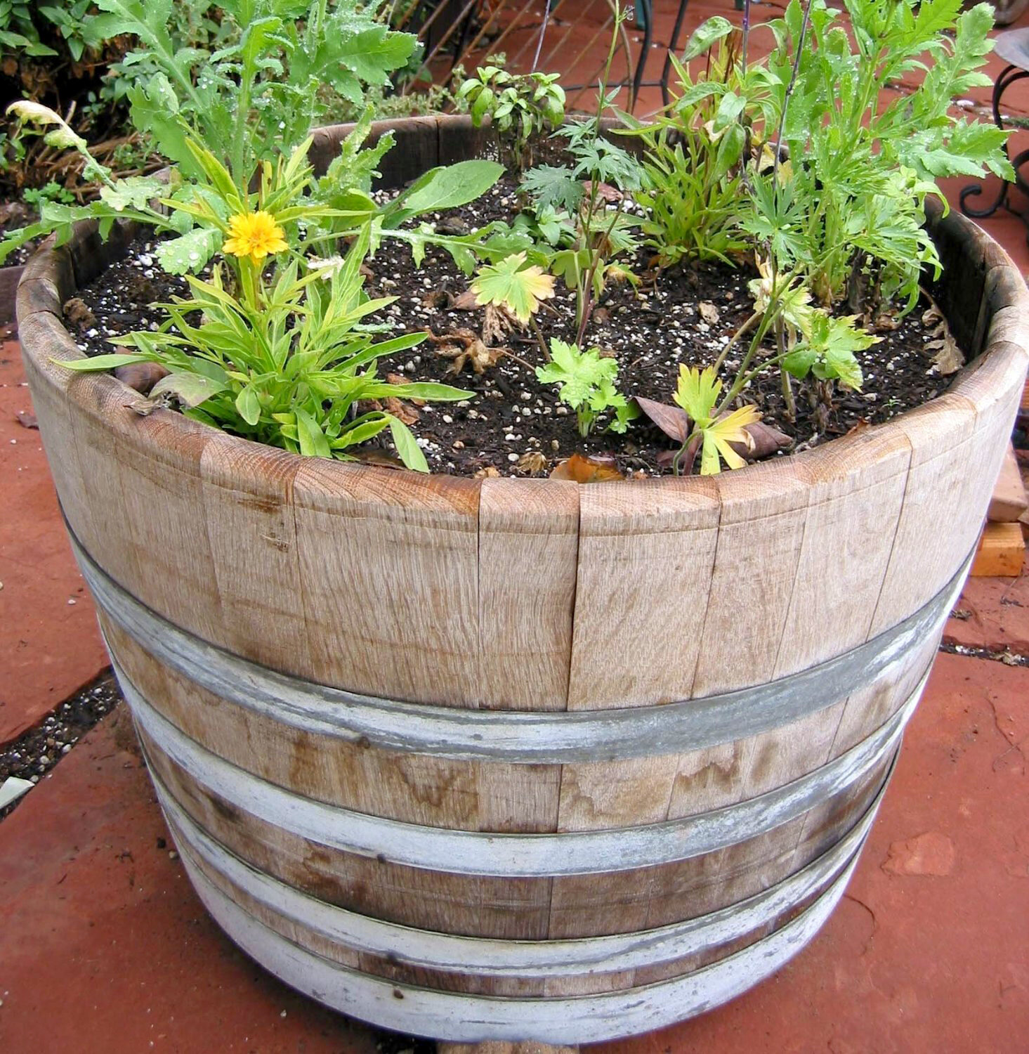 MGP Half Wine Barrel Planter, 26