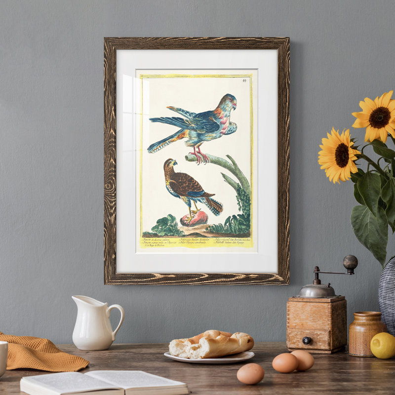 Cadre Pastel Birds III de qualité supérieure mat - prêt à être accroché, Encadré de bois de noyer, H 38 po x l 28 po x P 1 po