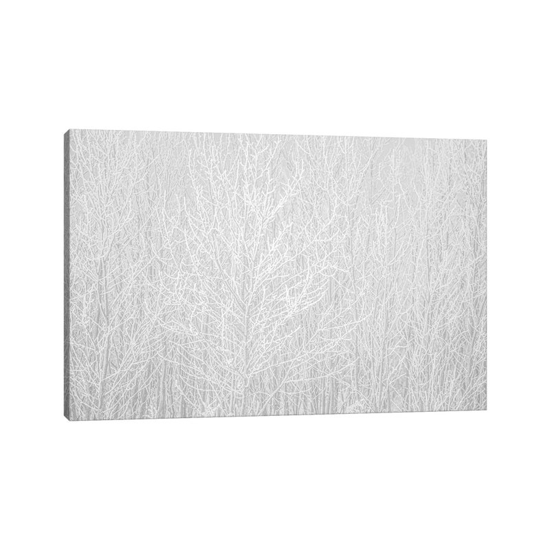 Hoarfrost White by Nik Rave - Wrapped Canvas Gallery-Wrapped Canvas Giclée, 66.04 cm H x 45.72 cm W