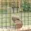 Small Animal Feeder-89288637