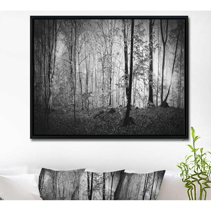 «Beautiful Forest Morning Panorama», photographie encadrée sur toile, H 28 po x l 60 po x P 1,5 po